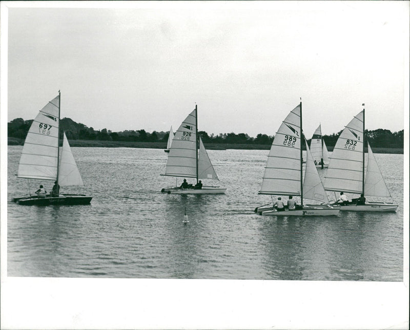 Yacht Catamarans Trimarans - Vintage Photograph