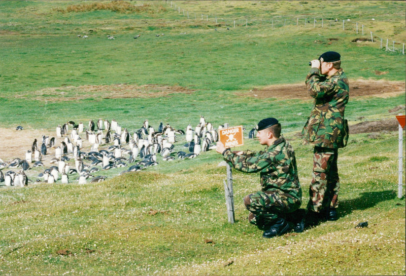 Falklands War the islands. - Vintage Photograph