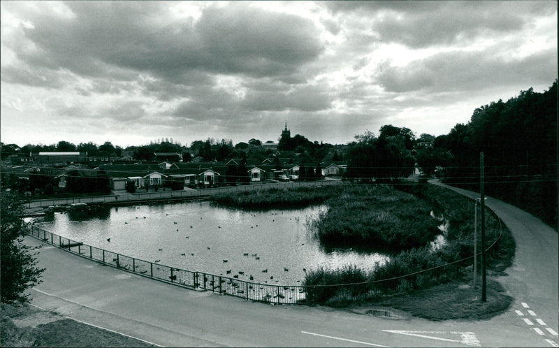 1991 MUSIC COUNTRY - Vintage Photograph