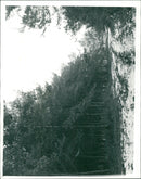 Hempstead - Vintage Photograph