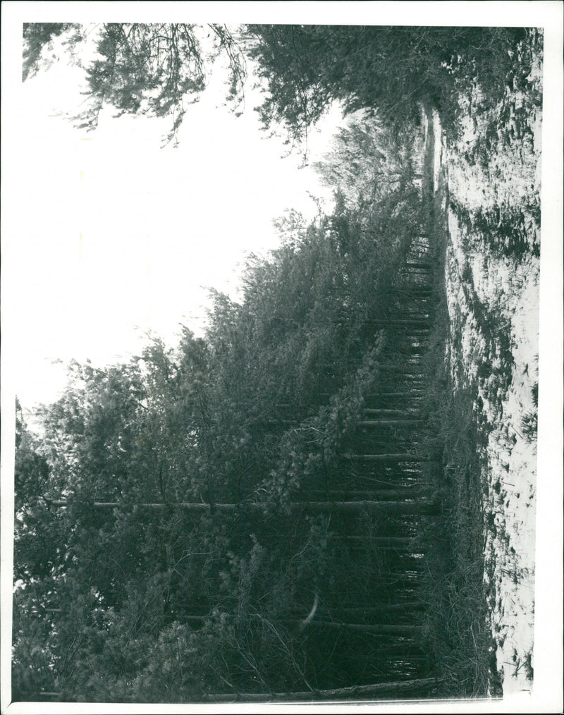 Hempstead - Vintage Photograph