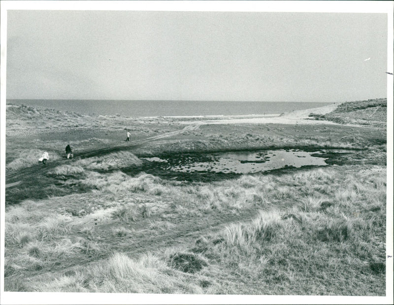 The gap in the dunes. - Vintage Photograph
