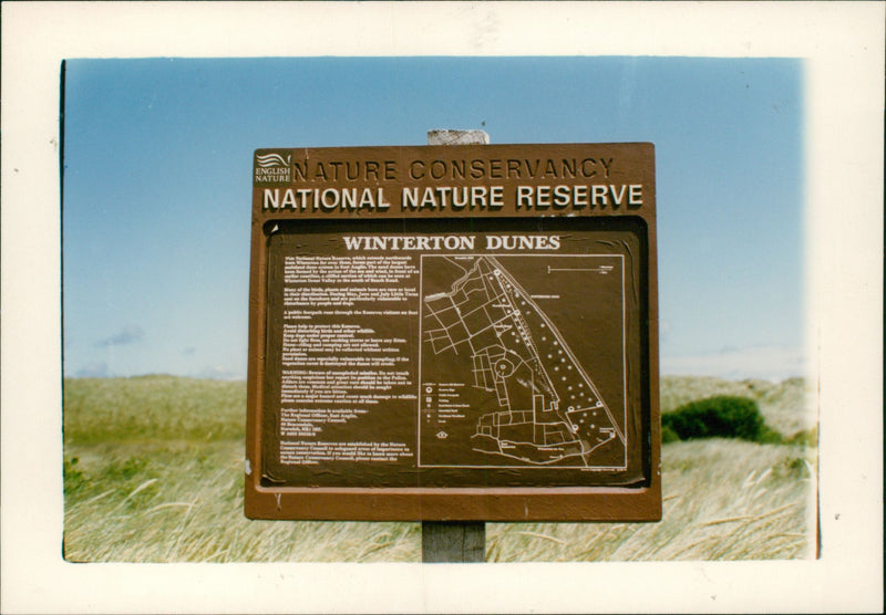 A helpful sign on  the dunes nature reserve. - Vintage Photograph