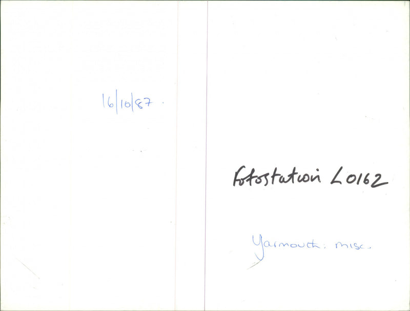 Maureen martin co-owner of martin rowland furnature. - Vintage Photograph