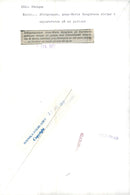 1977 EXPEDITION VANTRUN BUS SCREAMS BROLIN WHICH HELP SKA MARIE - Vintage Photograph