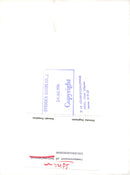 Summer concert at the National Museum - Vintage Photograph