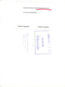 Summer concert at the National Museum - Vintage Photograph