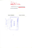 Summer concert at the National Museum - Vintage Photograph