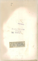 1970 DAGBLADETS GLASOGONEN MOST CLICHERAD NUN CONTINUE OPEN DAVID JOHN - Vintage Photograph