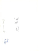 Music House - Vintage Photograph