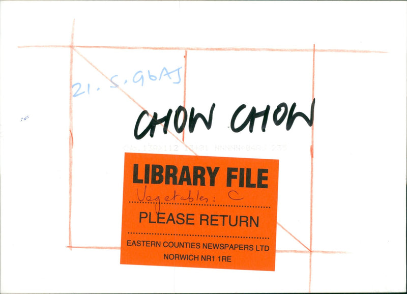 Vegetables Chow chow. - Vintage Photograph