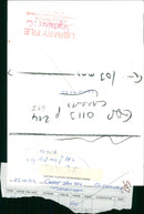 Carrot open day tuddenham. - Vintage Photograph