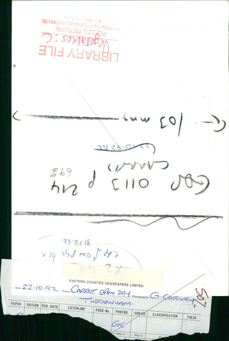 Carrot open day tuddenham. - Vintage Photograph
