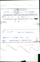 Vegetables broccoli and spruts. - Vintage Photograph