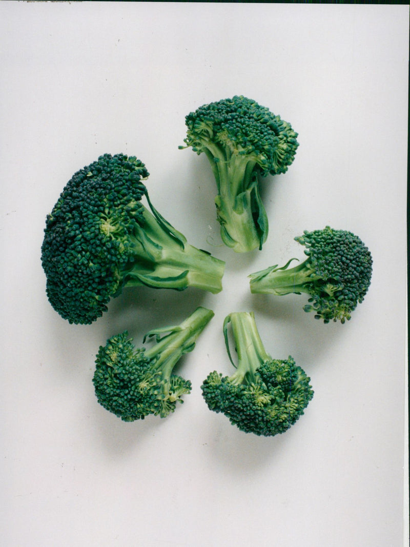 Vegetables broccoli and spruts. - Vintage Photograph