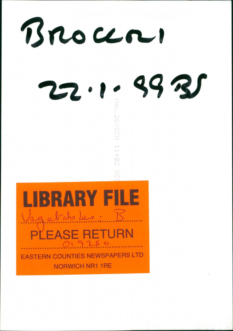 Vegetables Broccoli. - Vintage Photograph