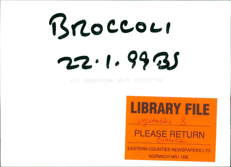 Vegetables broccoli. - Vintage Photograph