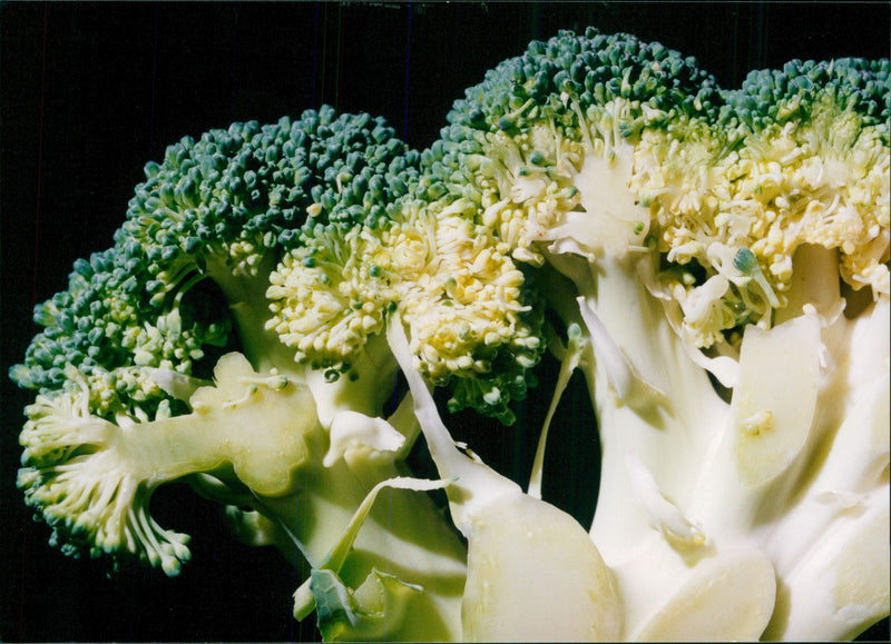 Vegetables broccoli. - Vintage Photograph