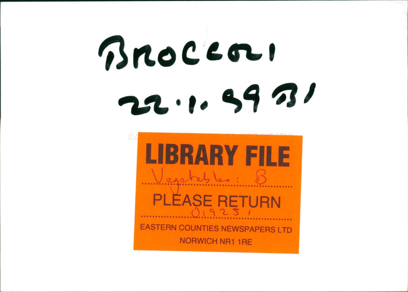 Vegetables Broccoli. - Vintage Photograph