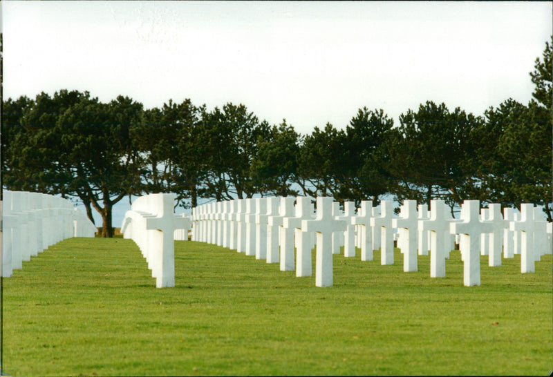 War & Warfare: - Vintage Photograph