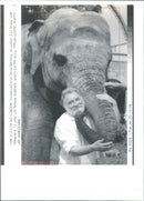 David Bellamy with Dilberta a female elephant. - Vintage Photograph