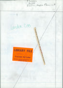 The Asiatic Lion enclosure at London Zoo. - Vintage Photograph