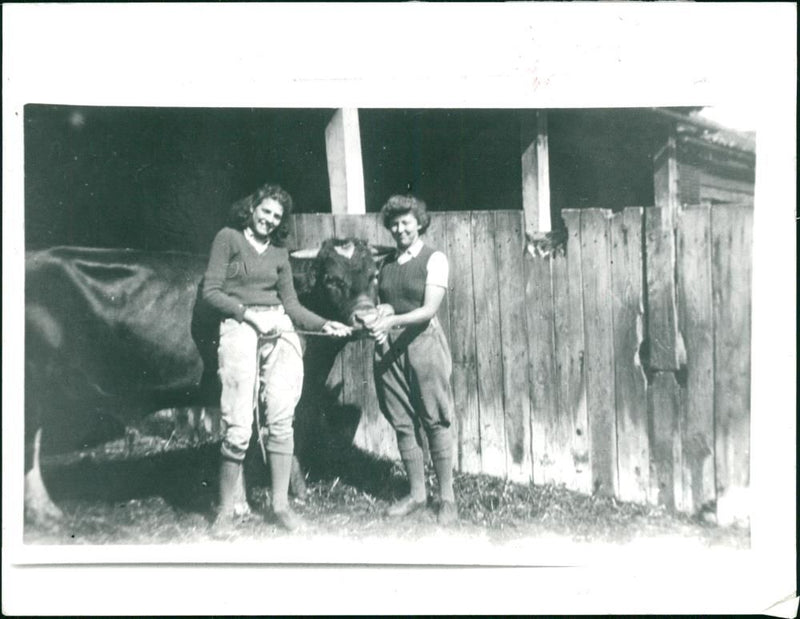 WAR & WARFARE - Vintage Photograph