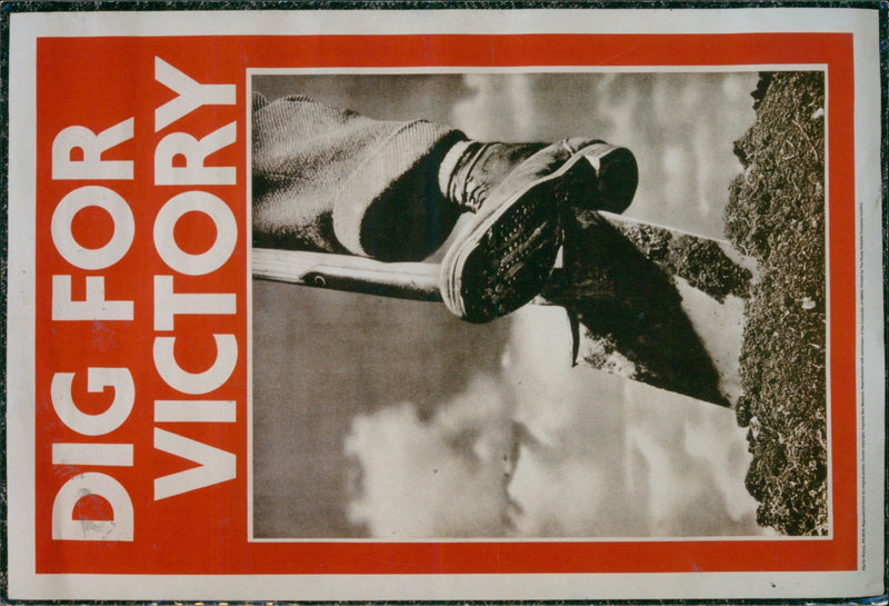 WAR & WARFARE - Vintage Photograph