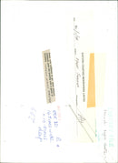 SINGER WRITER - Vintage Photograph