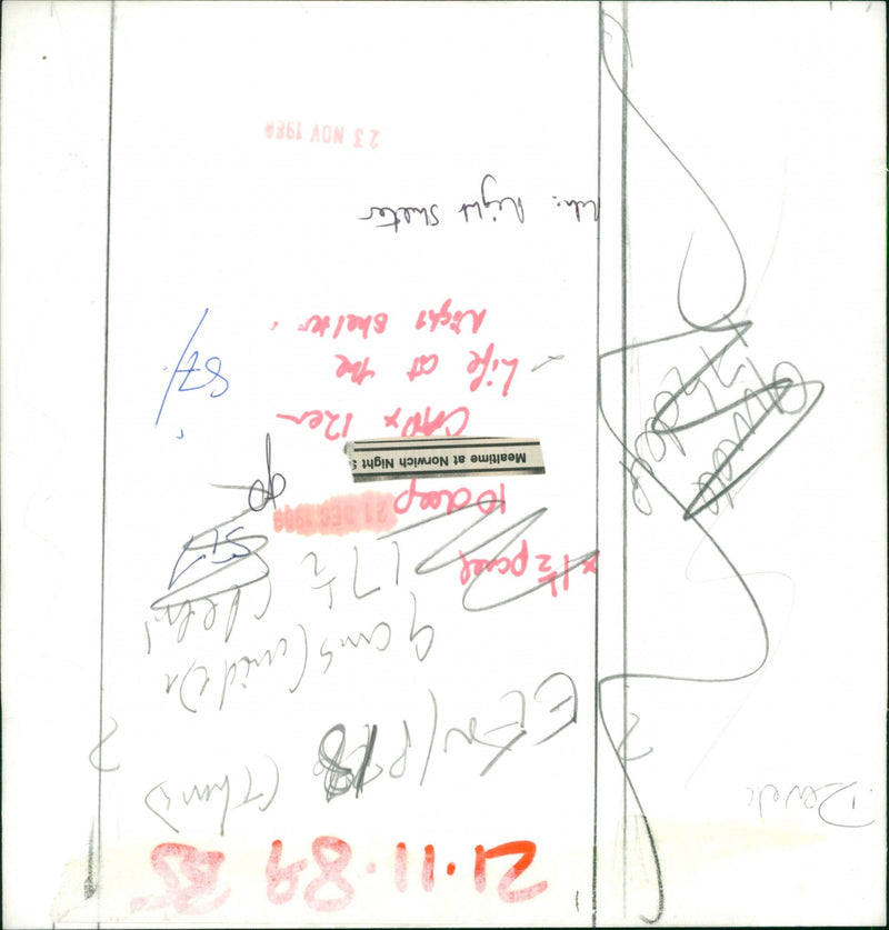 1989 SINGER WRITER - Vintage Photograph