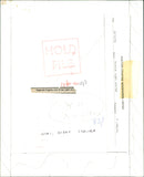 1989 HEWITT SINGER WRITER - Vintage Photograph