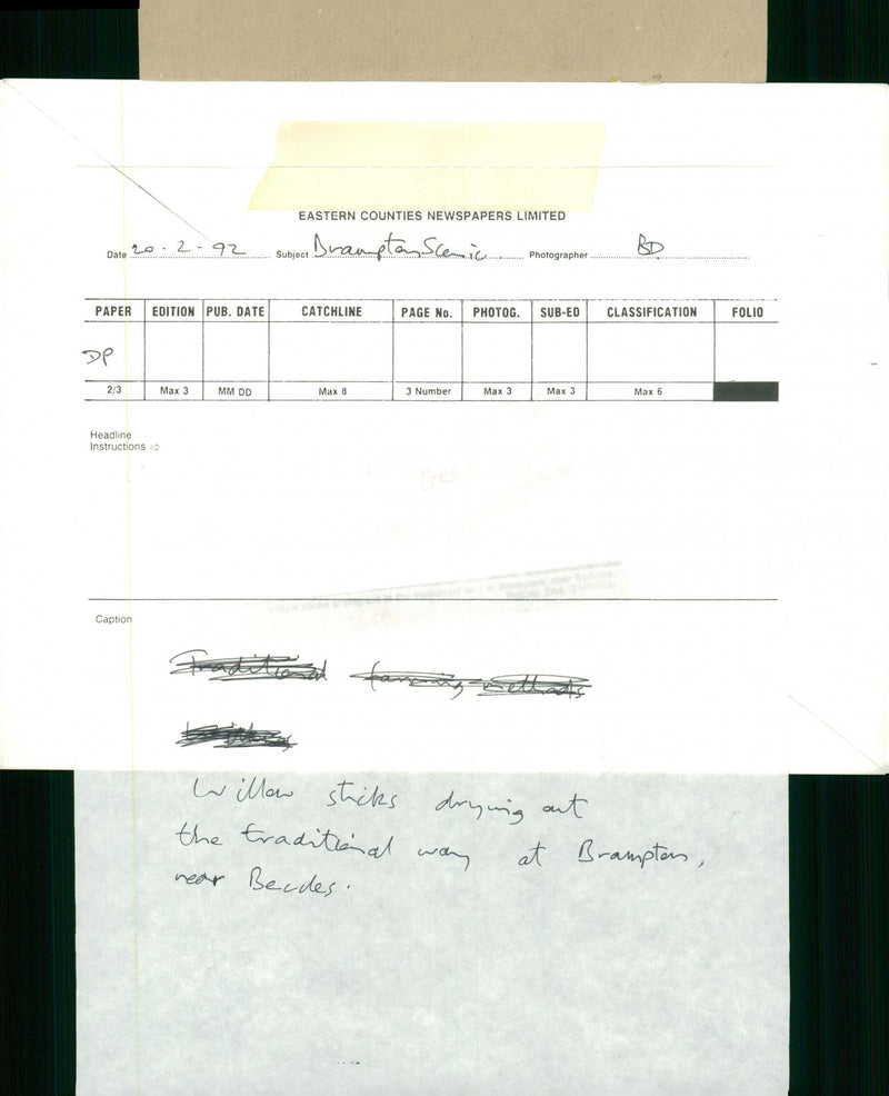 Willow sticks drying at the traditional way. - Vintage Photograph