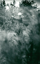 English Nature Breckland site manager Malcolm Wright helps to tidy Lekenheath Warren. - Vintage Photograph