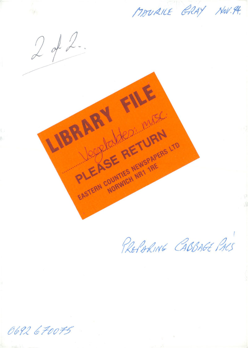 Preparing Cabbage Pack Vegetables Misc. - Vintage Photograph