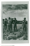 War Ve Day:Land Army. - Vintage Photograph