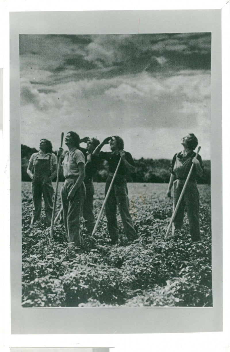 War Ve Day:Land Army. - Vintage Photograph