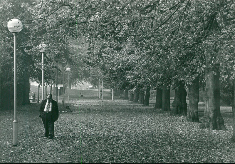 Park and Gardens:castle chapfield. - Vintage Photograph