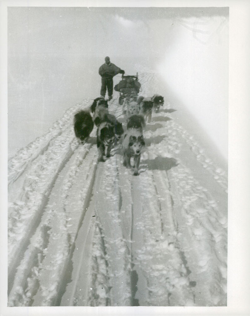 British Graham Land expedition. One of the longer sleigh rides - Vintage Photograph