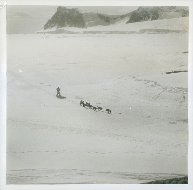 British Graham Land expedition. Exercise of a skin span at the southern base - Vintage Photograph