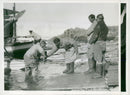 British Graham Land expedition. - Vintage Photograph