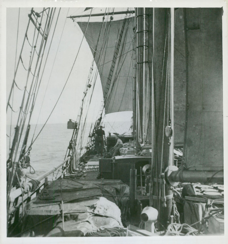 British Graham Land expedition. On board Penola heading towards Montevideo - Vintage Photograph