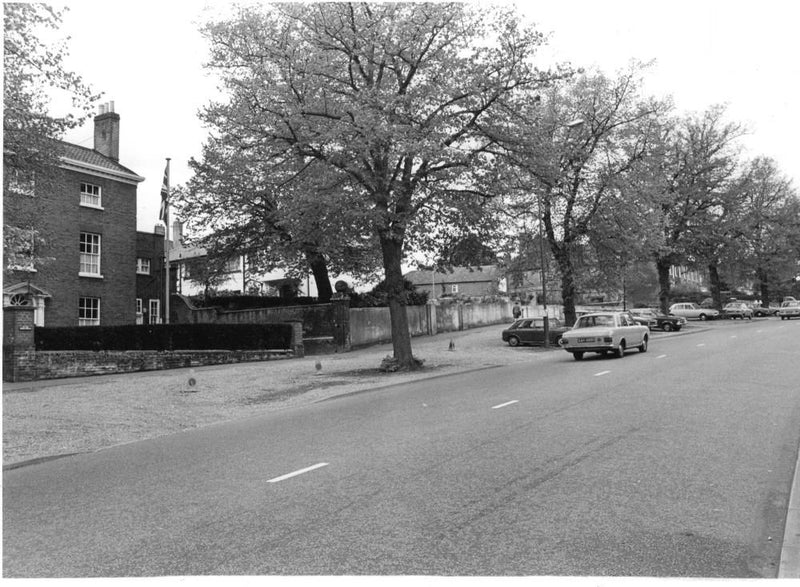 Road & Streets:Bracondale with its avenue of lime trees - Vintage Photograph