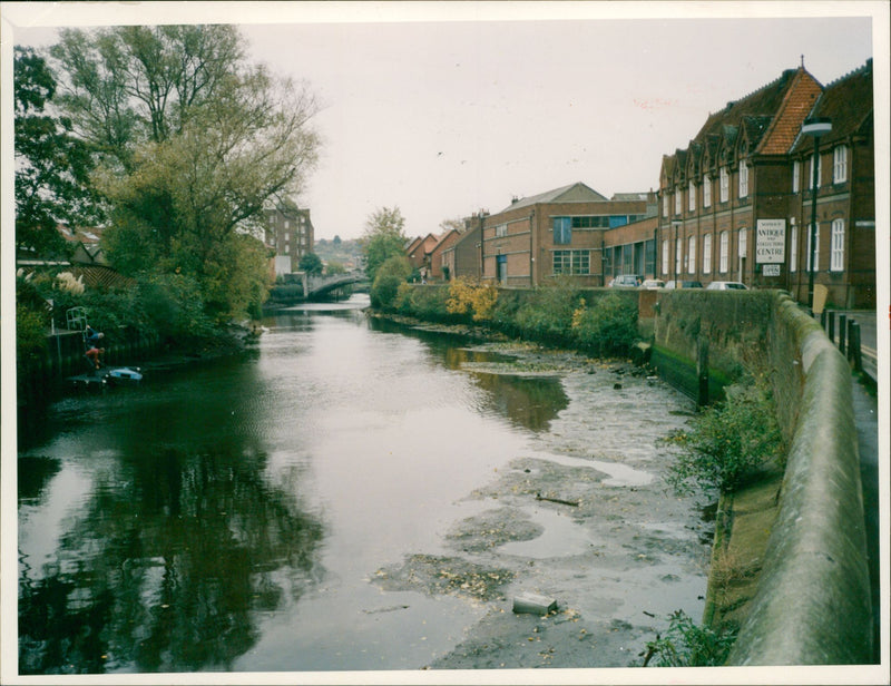 VIEW OF NATURE - Vintage Photograph