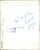 Animal : Chinchilla - Vintage Photograph