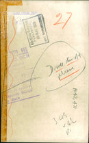 Monkeys. - Vintage Photograph