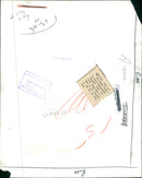 MULES, USED BY THE INDIAN ARMY TO CARRY AMMUNITION. - Vintage Photograph