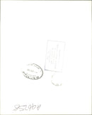 Shemara Ship - Vintage Photograph