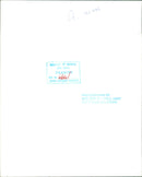 Avro Vulcan Strategic bomber. - Vintage Photograph