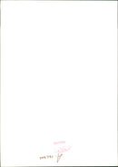 Avro Vulcan Strategic bomber. - Vintage Photograph