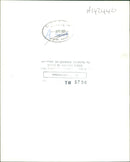 Avro Vulcan Strategic bomber. - Vintage Photograph